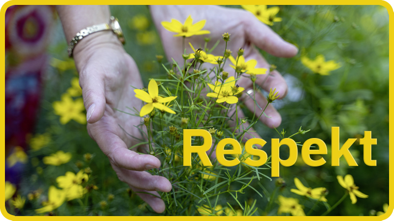 Ilja Kryszat Interkulturelle Kompetenz Respekt