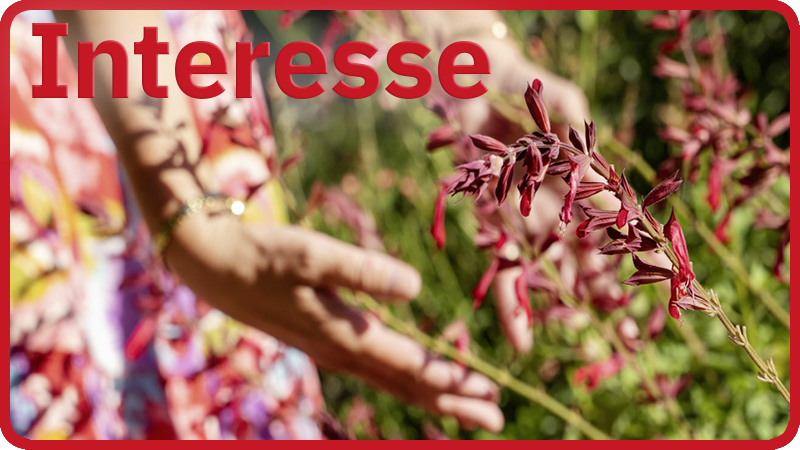 Ilja Kryszat Interkulturelle Kompetenz Interesse