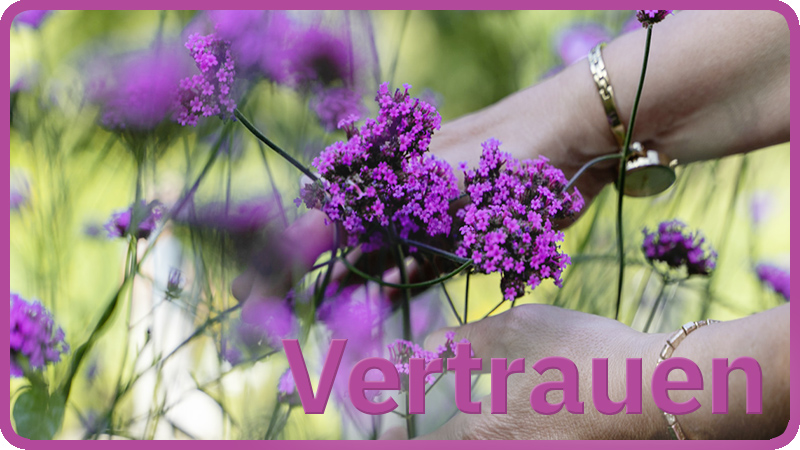 Ilja Kryszat Interkulturelle Kompetenz Vertrauen