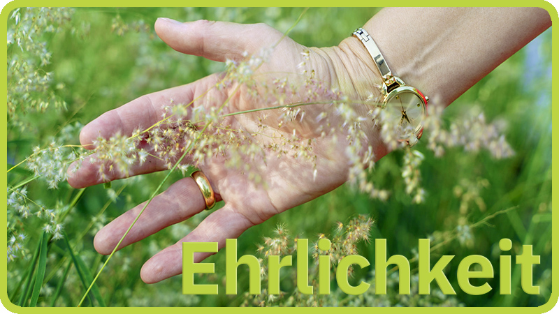 Ilja Kryszat Interkulturelle Kompetenz Ehrlichkeit